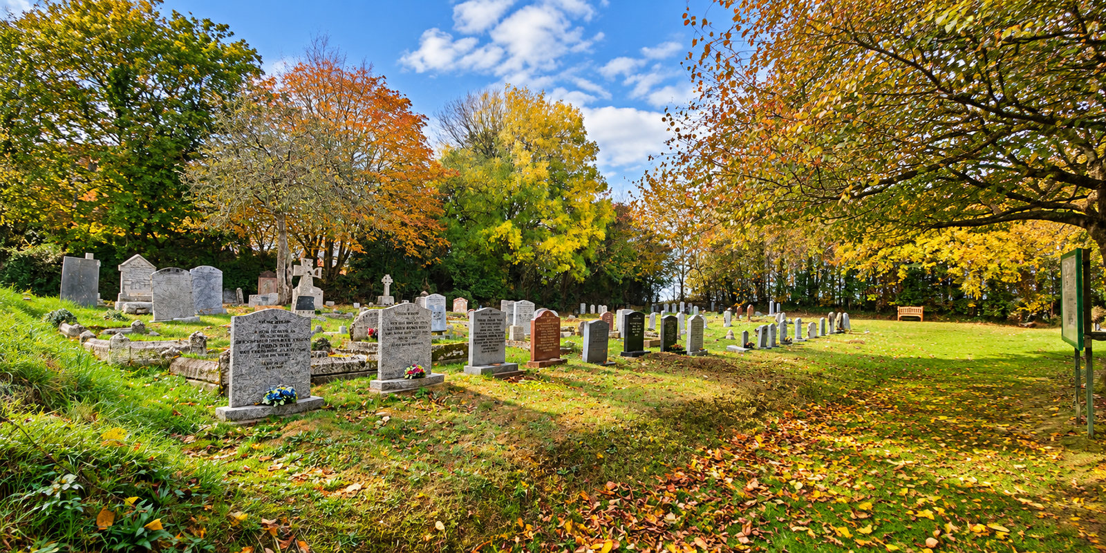 A bright autumn view across Colebrooke Cemetery, with memorial stones, trees and a wooden bench